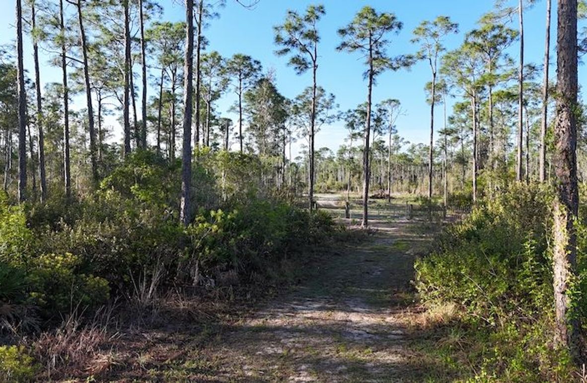 DJI_20260402084259_0411_D