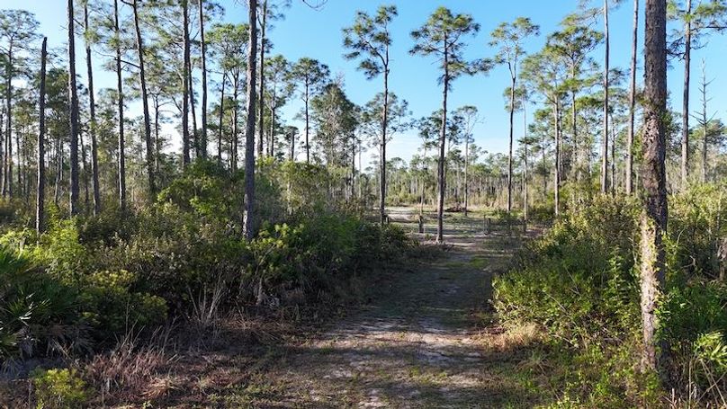 DJI_20260402084259_0411_D