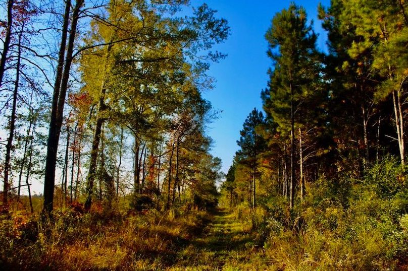 23AF7C5F-3592-4D73-A9C9-6DAD3865702E_1_105_c