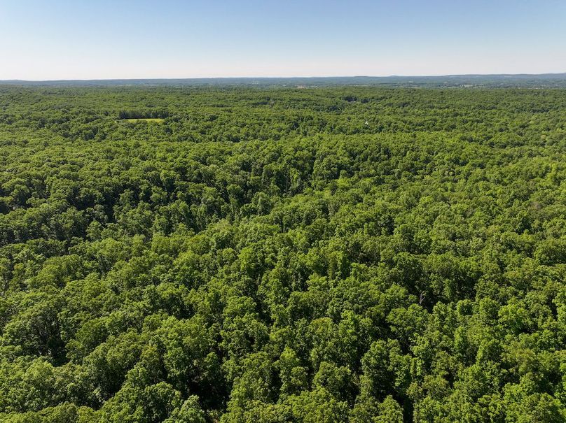 DJI_20250522094945_0365_D