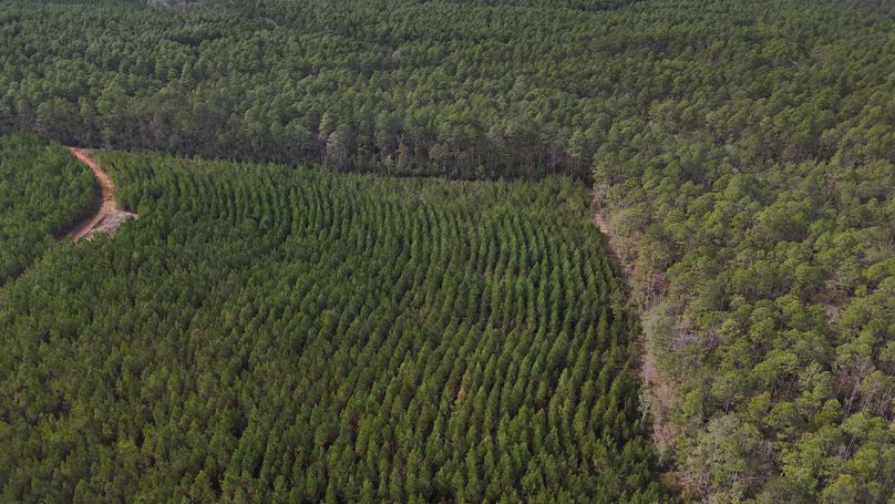 DJI_20231214123849_0014_D