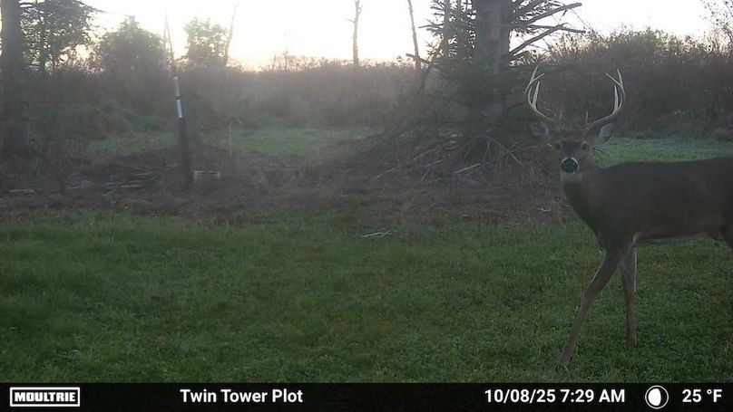 Temp_731813-20251008122951-100MFCAM_MFDC2569