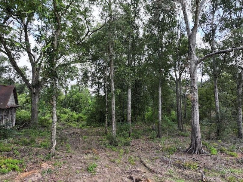 dji_fly_20250708_104220_0189_1752089898964_photo