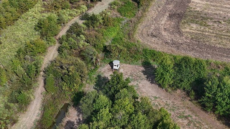 DJI_20251009043639_0782_D