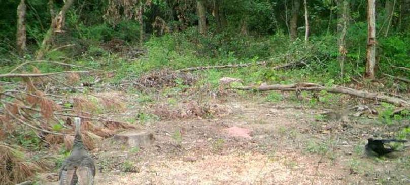 Screenshot_20221201-203516_Gallery