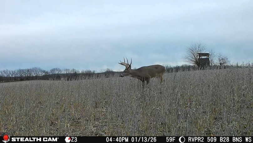 2026011316403801010693_ColorizationType.none