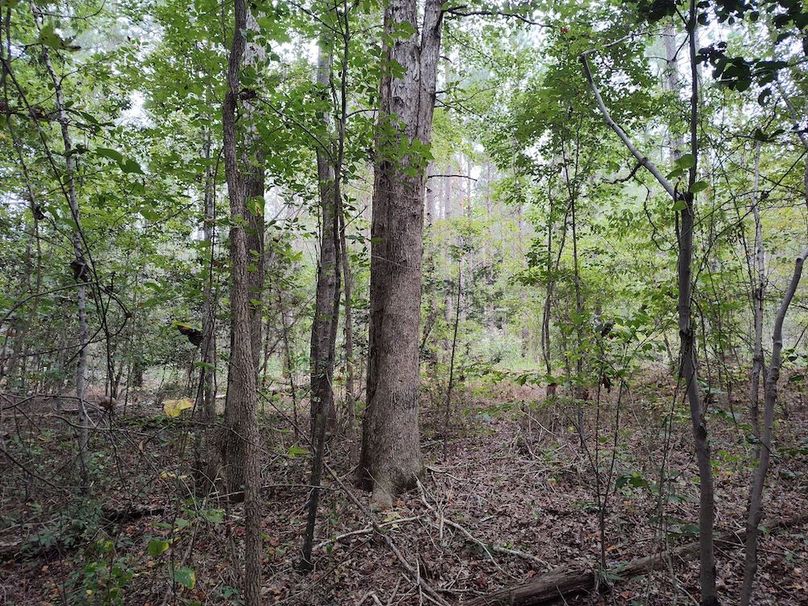 IMG_20250914_154010757