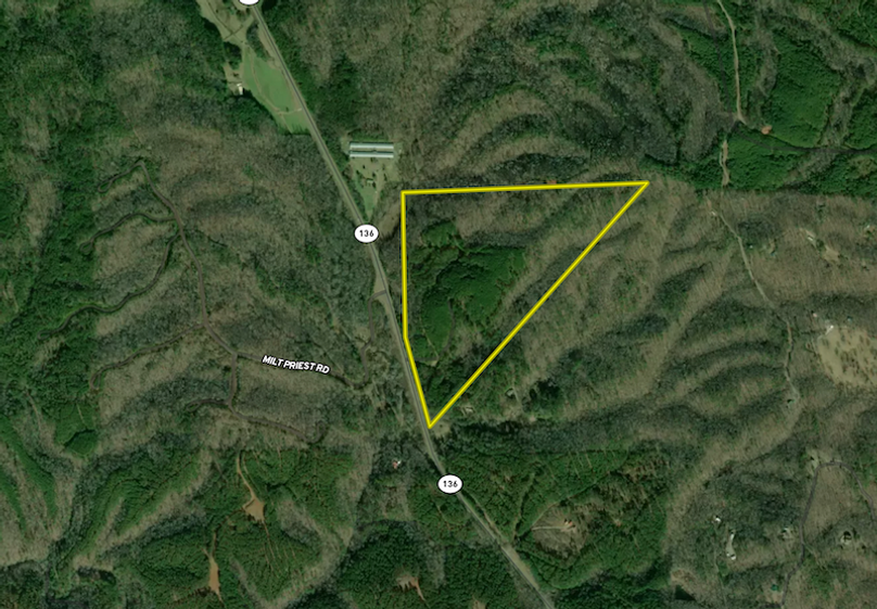 Screenshot 2026-02-11 at 10.13.41 AM