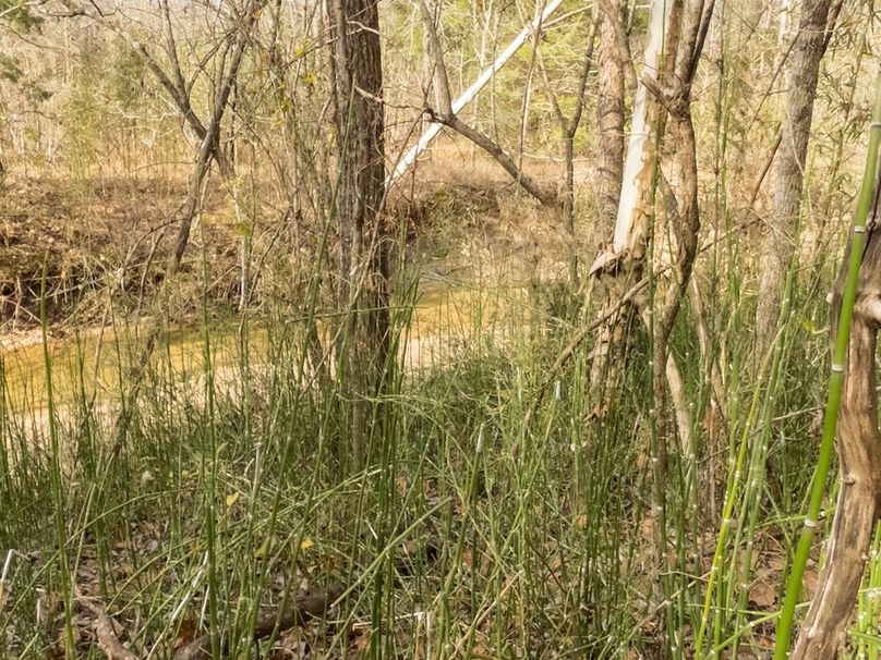 Yazoo Co - 75 - Batton-30