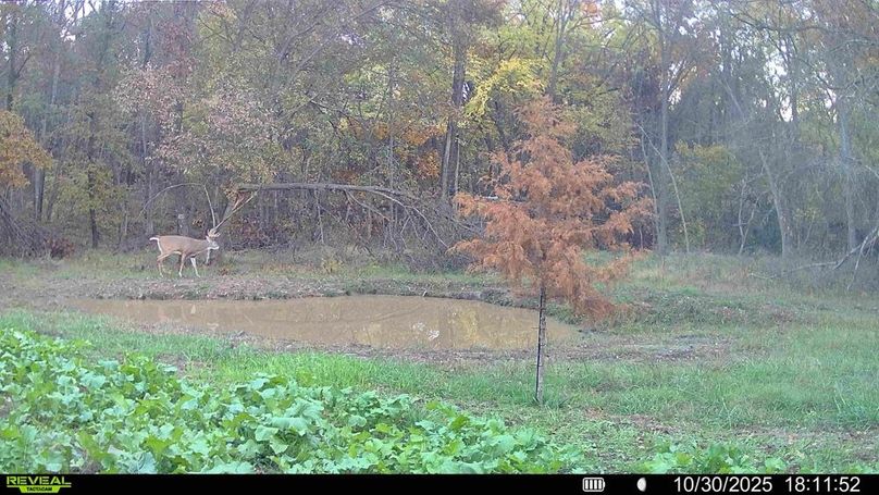 016578002265020-85-2-10312025024736-HD-SYFW10537