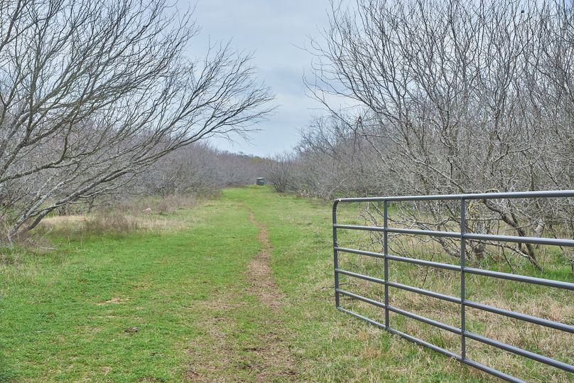 04 several cross fences and gates