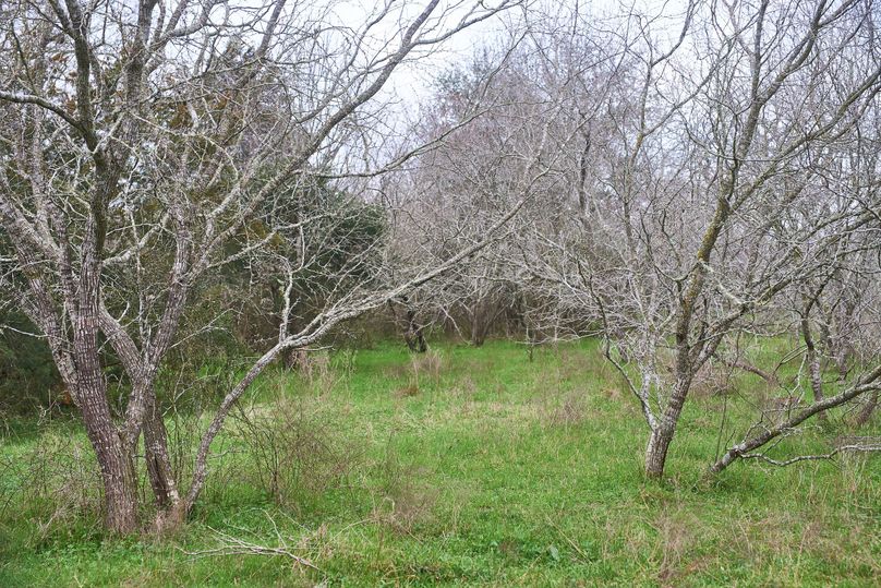 06 great cover for deer