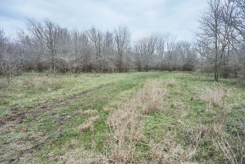 09 area for food plots 