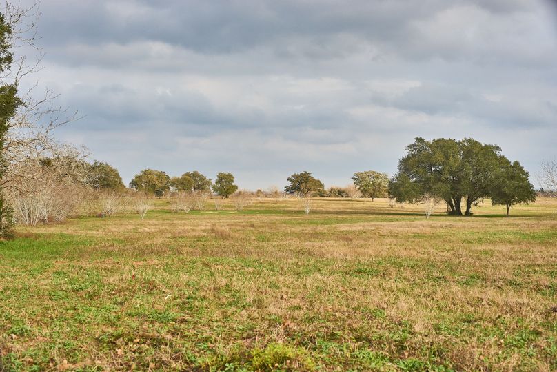 10 great area for grazing 