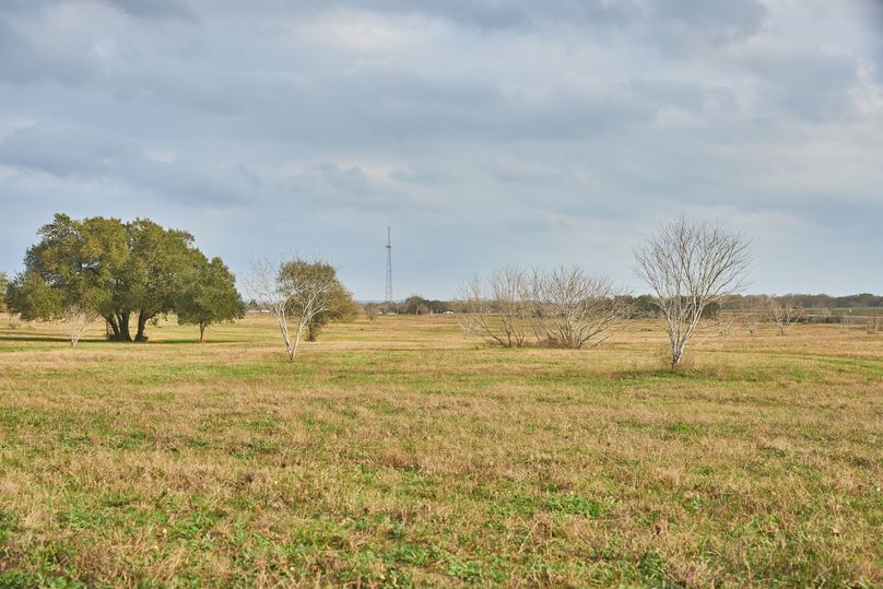 13 best of both worlds