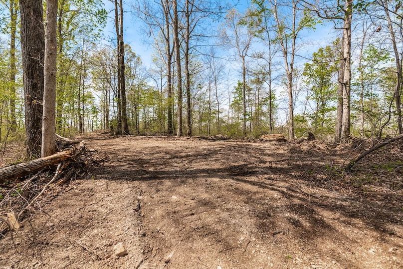 59-web-or-mls-0 Mound Creek Rd-29