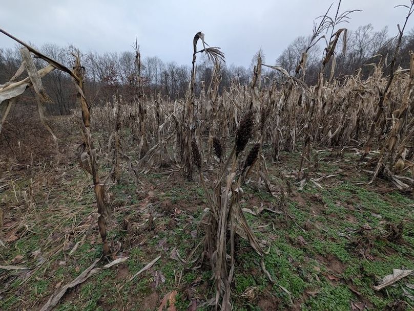 PXL_20260107_204609241