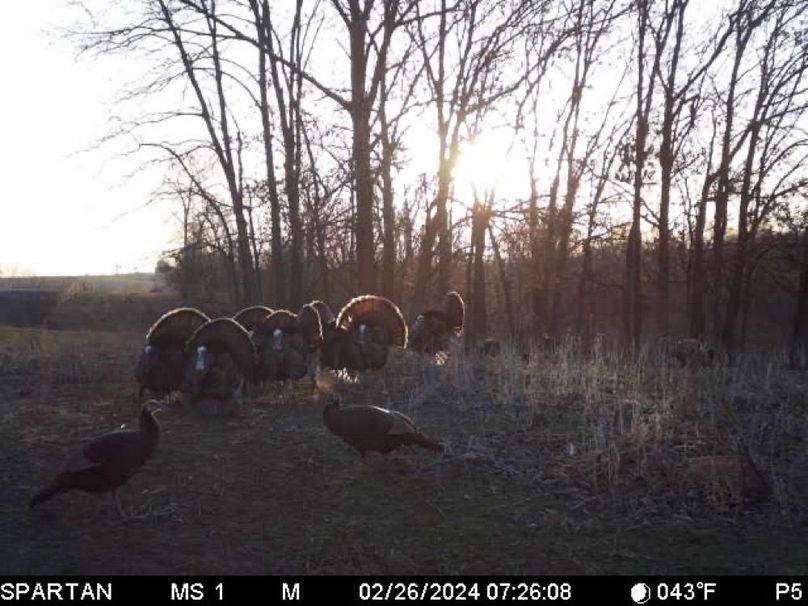 File Feb 27 2024, 6 53 08 PM