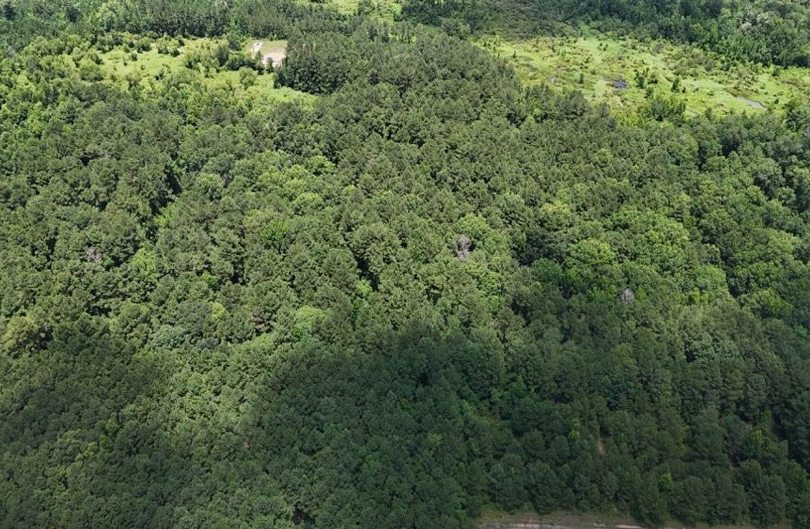 DJI_20250620020937_0635_D