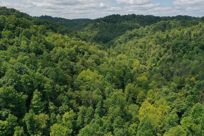 018 low elevation aerial drone shot of the main valley