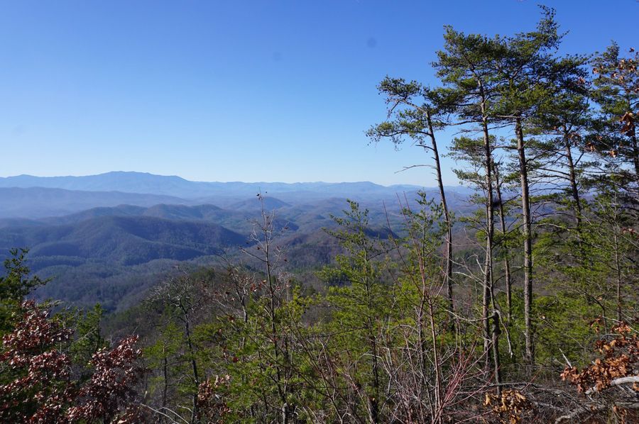 Mountain view