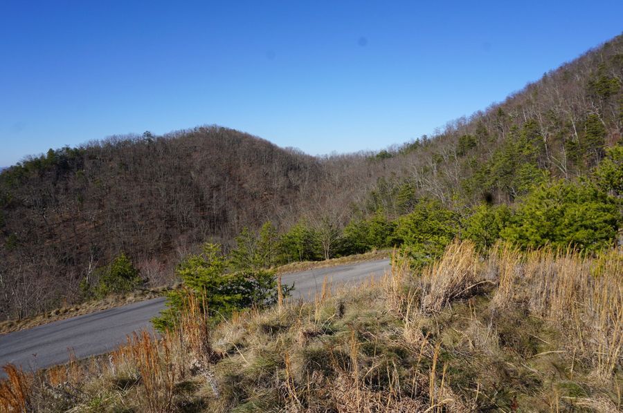 Access road6