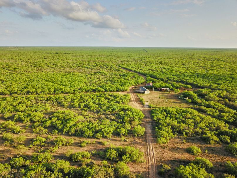 14 great for growing big deer