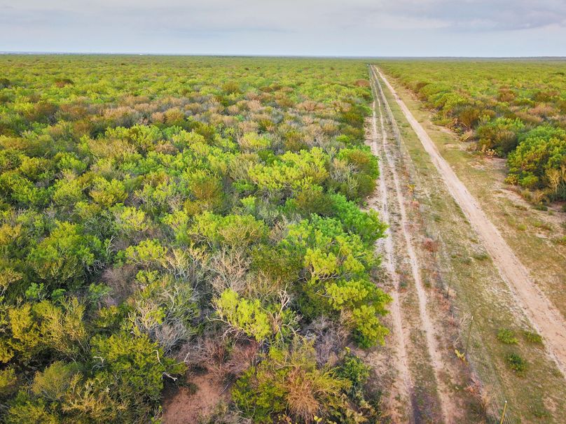 16 high fenced on 3 sides