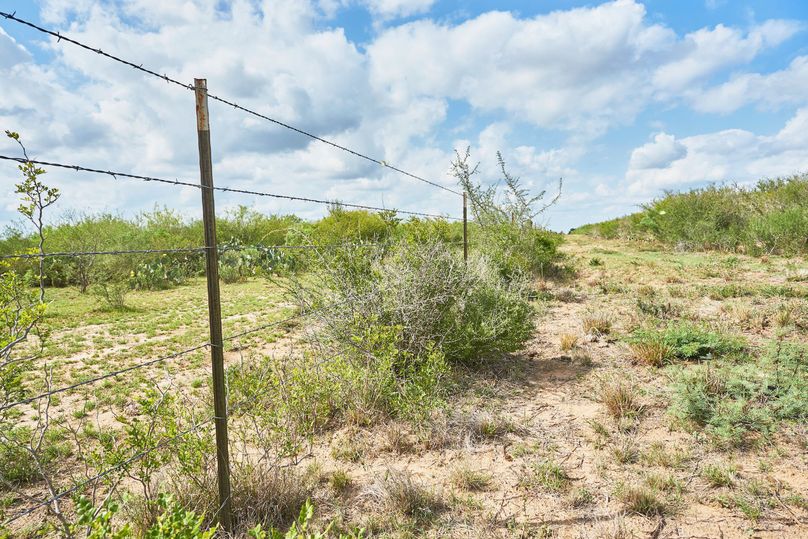 42 tight low fence on west side