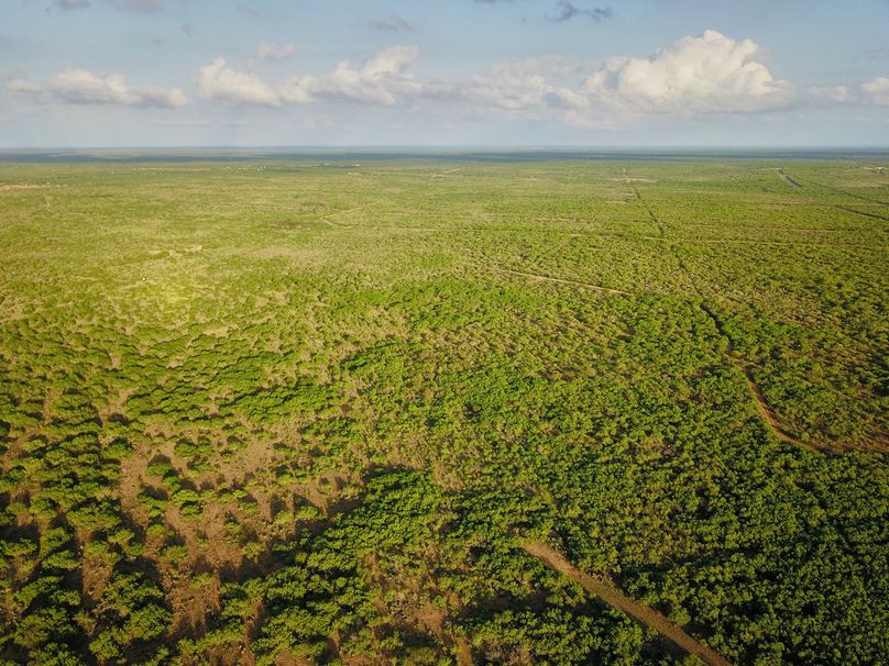 4 incredible road system for hunting