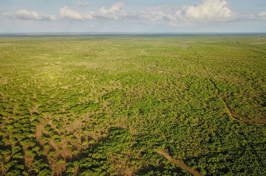 4 incredible road system for hunting