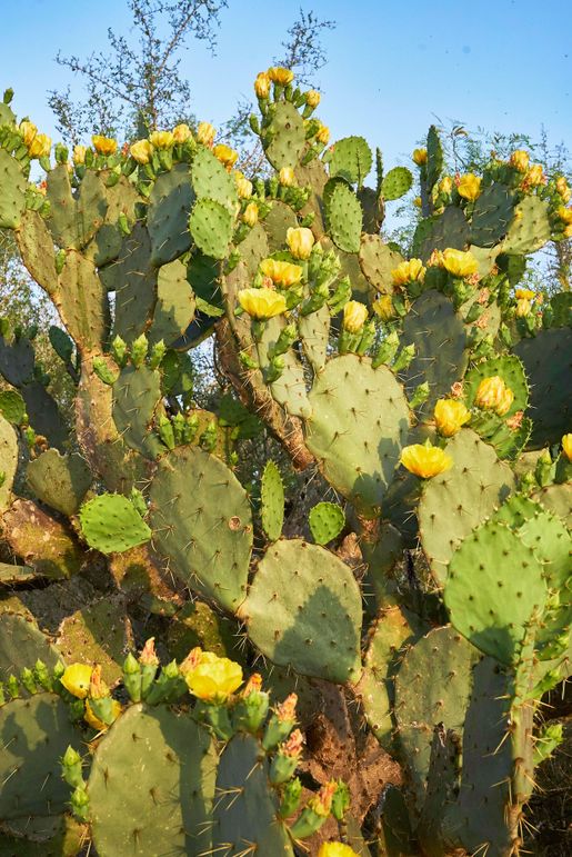 7 this ranch is beautiful