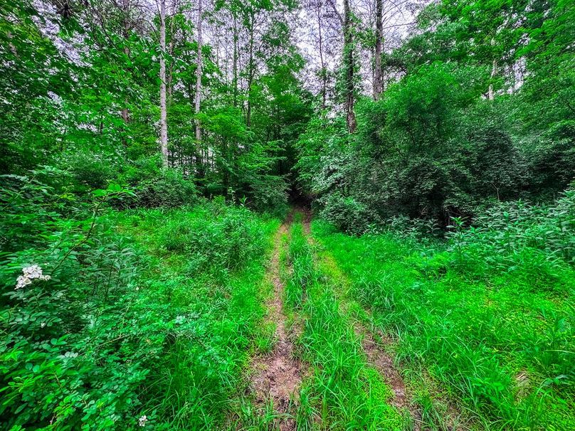 Tyler, WV 313.87 AC -05