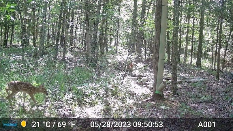trail 2