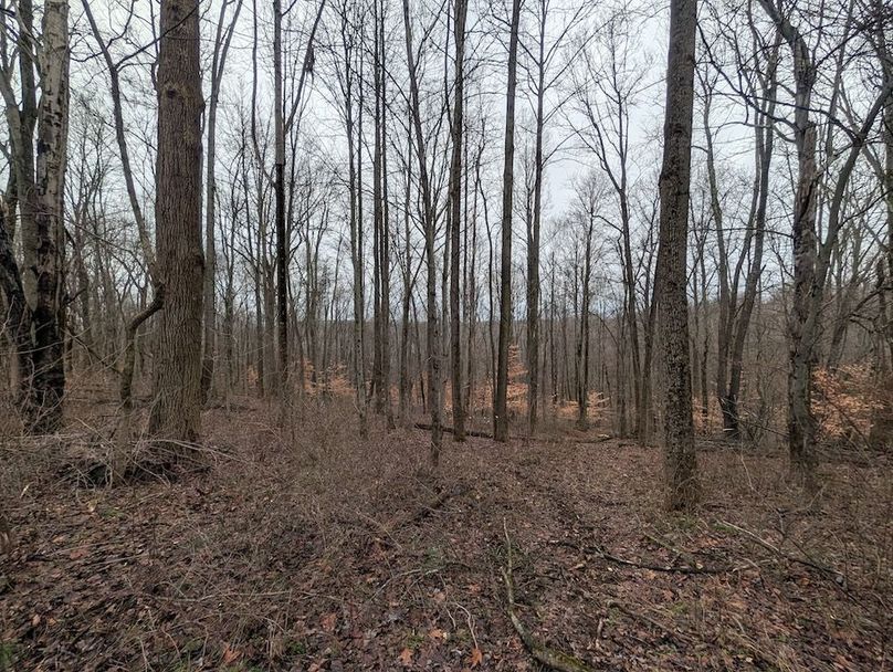 PXL_20260107_174959416