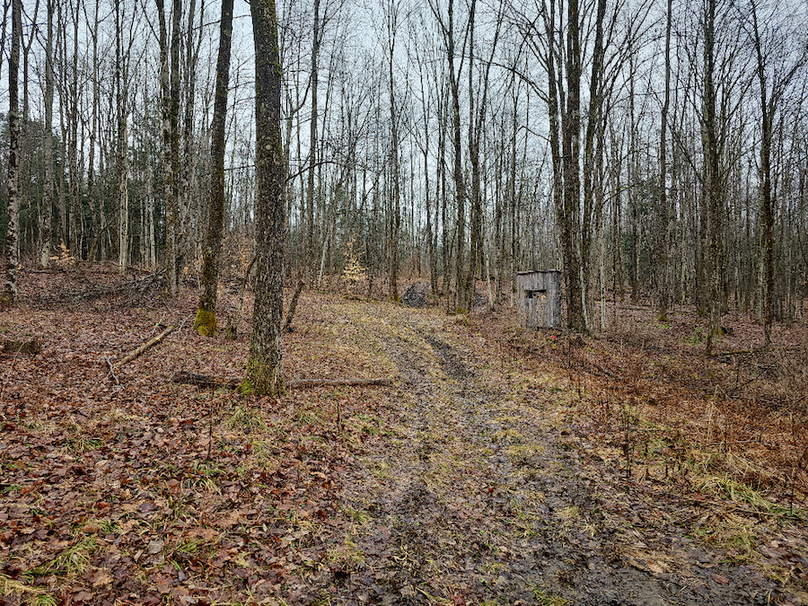 photo_fc464abc-bb33-4e56-8266-03fc0ef22a96