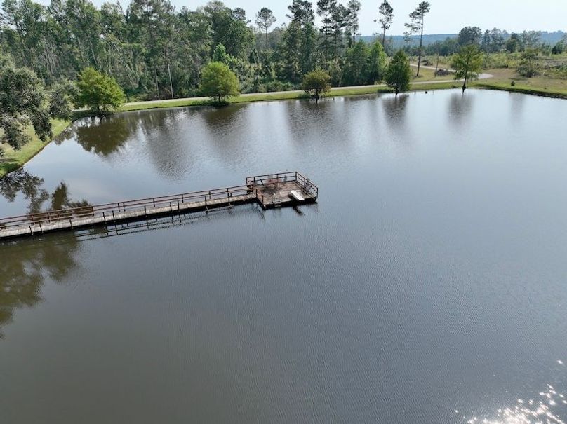 dji_fly_20250918_111640_169_1758209483311_photo