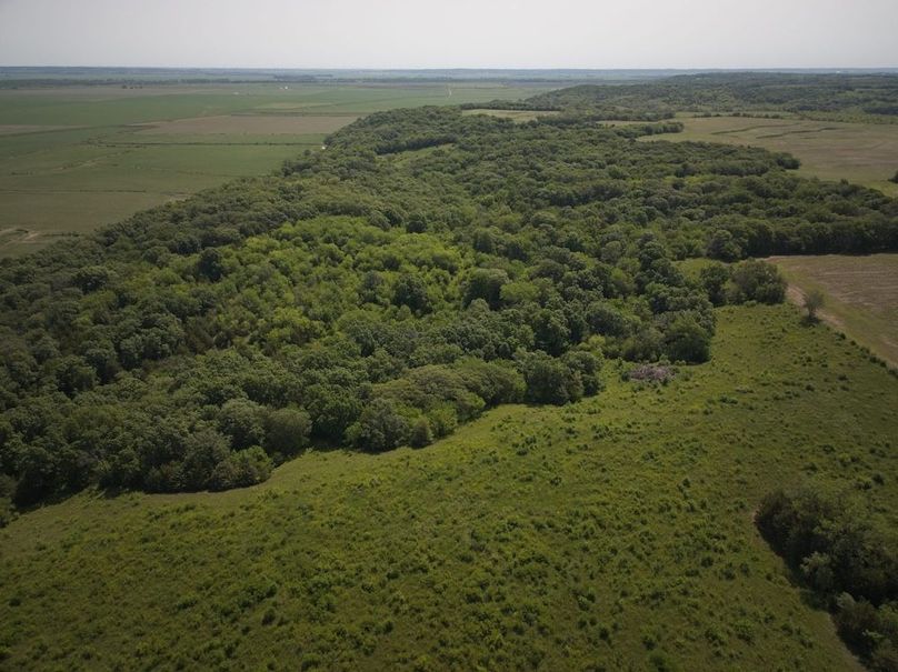 DJI_20250531111513_0022_D