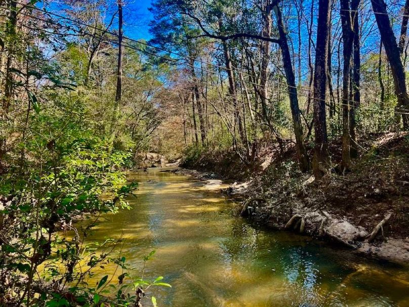 7A5E4547-24F4-406F-9B3F-314573FF4EC0_1_201_a