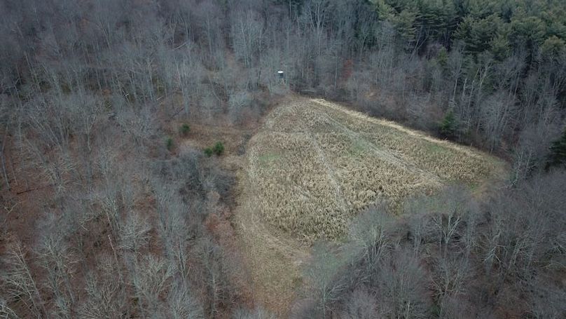 org_173a348a18f44f5c_1767819968000