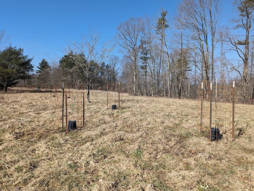 PXL_20240223_164755153