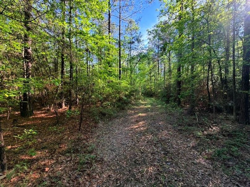 F3F01707-8F83-499D-BCB4-A23B5F509780_1_105_c