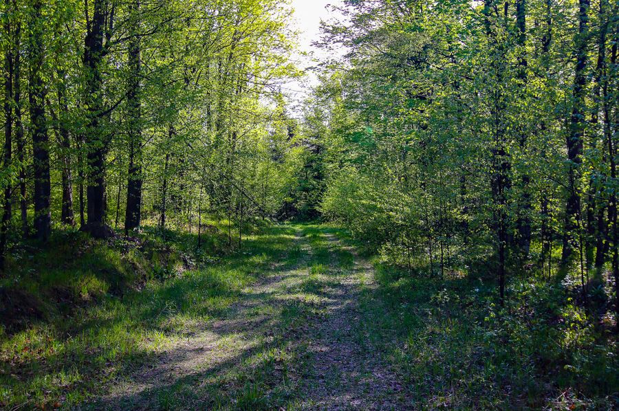 Menominee_MI_80_Knorr-79