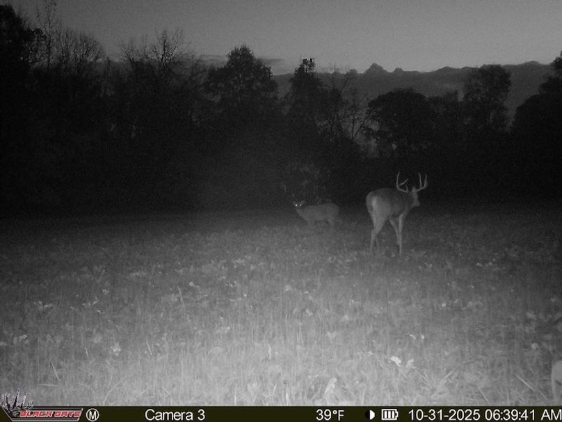 82B90325-E022-43A3-8E31-7E9D303AD0E0