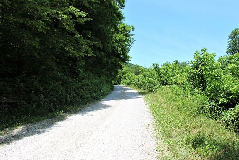 005 gravel county road along eastern boundary looking north
