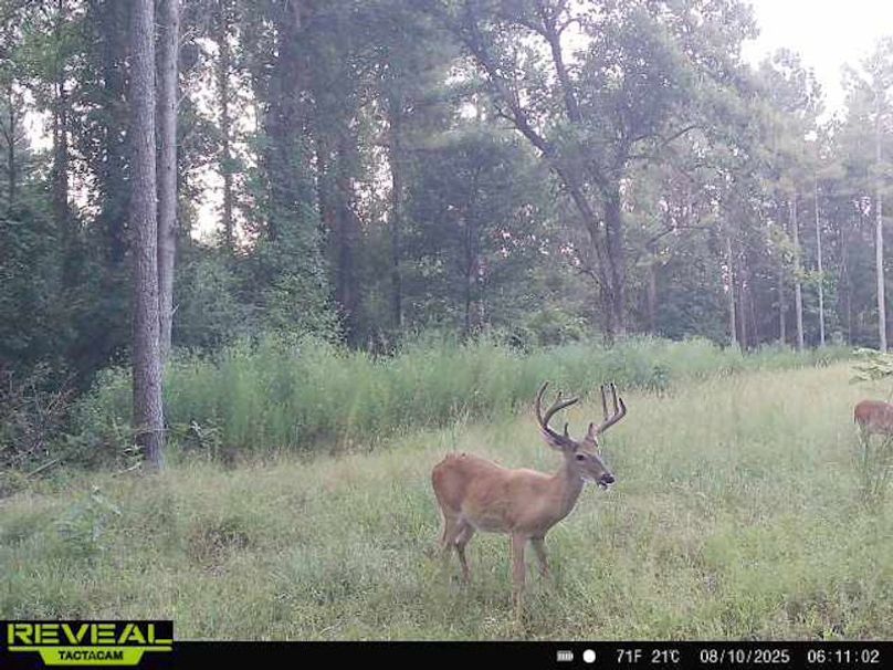 TwinStatesTrailCam19