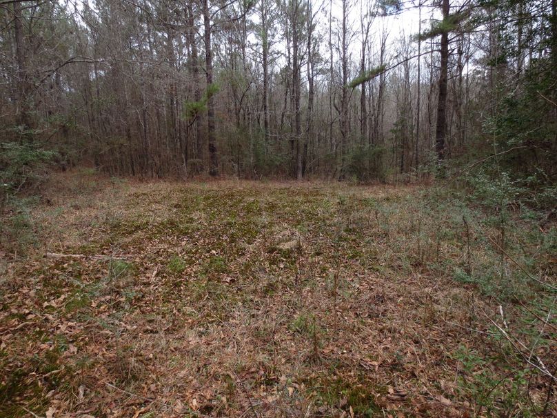 AFDEFF59-7358-42B3-9FAA-90A0E59224C3