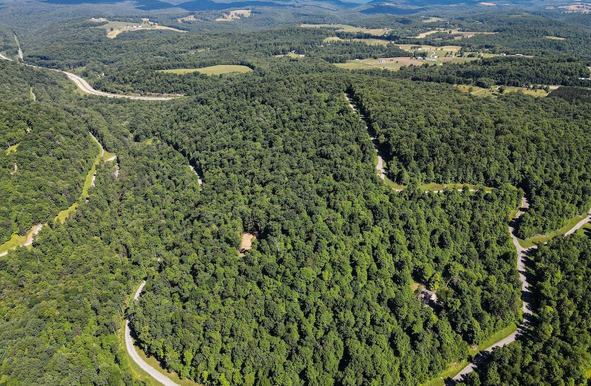 dji_fly_20240615_102106_753_1718461305613_photo