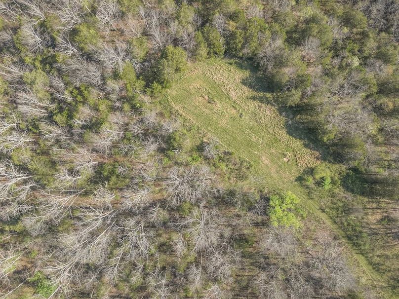 7-DJI_20260412101519_0013_W