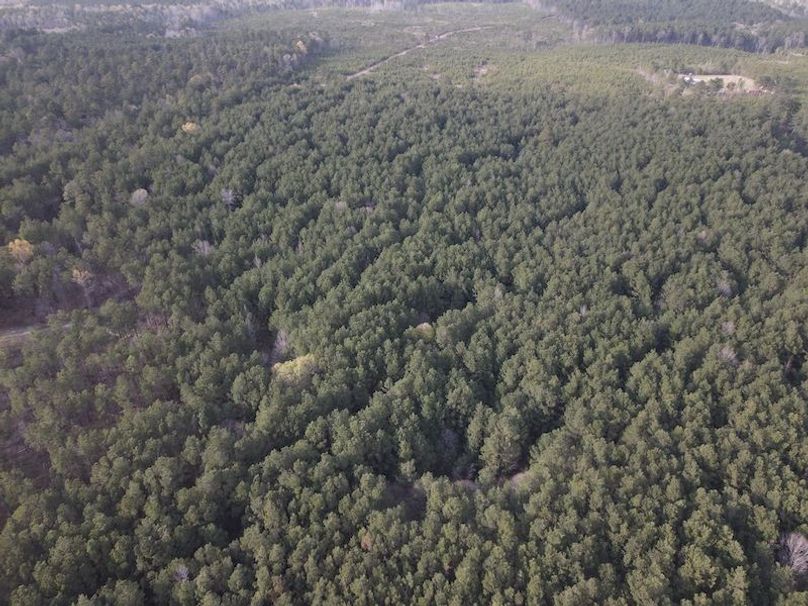 DJI_0108